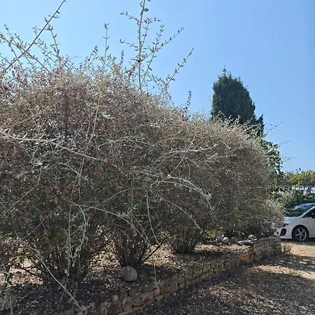 Ilisa Rogoznica (Sibenik-Knin)