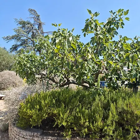 Ilisa Rogoznica (Sibenik-Knin)