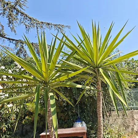 Apartment Apartment Ilisa