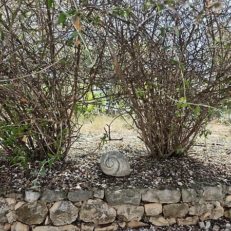 Apartment Apartment Ilisa *