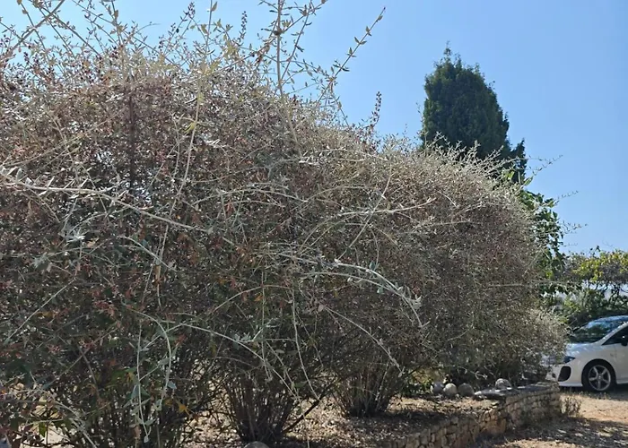 Ilisa Rogoznica (Sibenik-Knin)