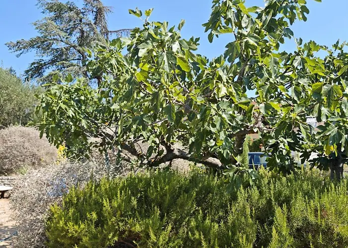 Ilisa Rogoznica (Sibenik-Knin)