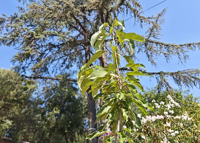 Apartamento Ilisa Rogoznica (Sibenik-Knin)